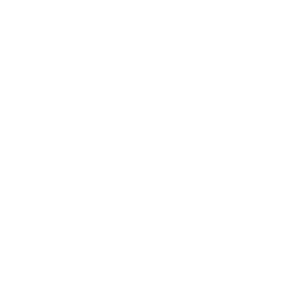 Ethnic Thematic Hotel